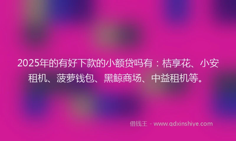 2025年的有好下款的小额贷吗有：桔享花、小安租机、菠萝钱包、黑鲸商场、中益租机等。