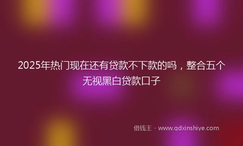 2025年热门现在还有贷款不下款的吗，整合五个无视黑白贷款口子