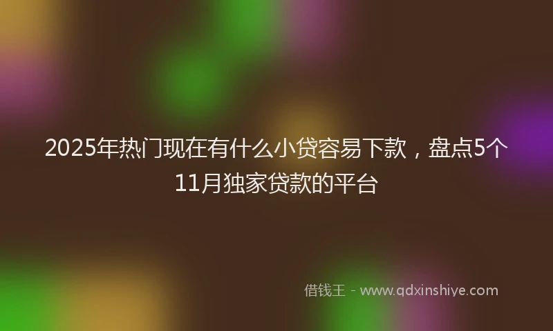 2025年热门现在有什么小贷容易下款，盘点5个11月独家贷款的平台