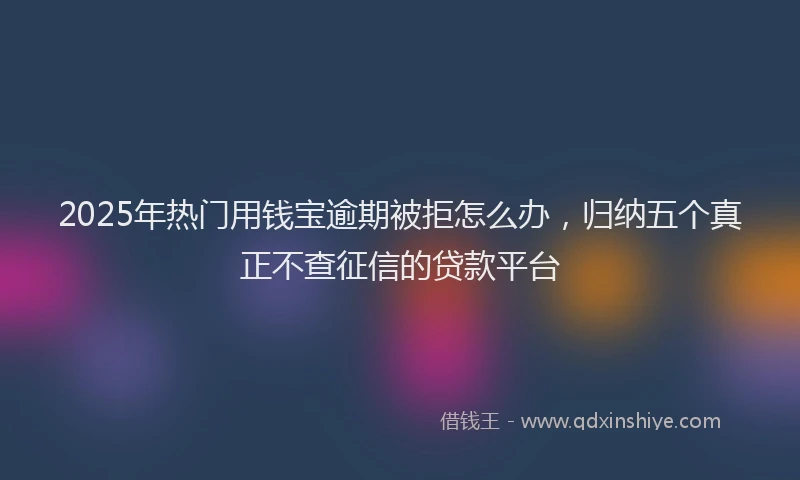 2025年热门用钱宝逾期被拒怎么办，归纳五个真正不查征信的贷款平台