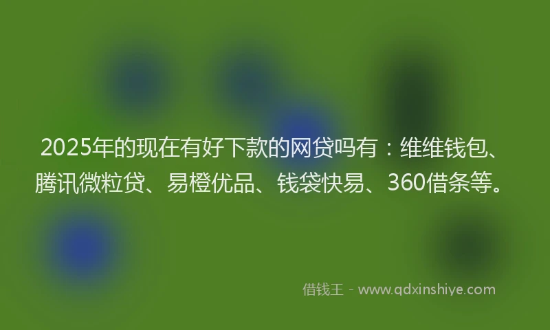 2025年的现在有好下款的网贷吗有：维维钱包、腾讯微粒贷、易橙优品、钱袋快易、360借条等。