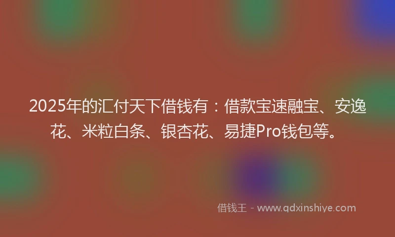 2025年的汇付天下借钱有：借款宝速融宝、安逸花、米粒白条、银杏花、易捷Pro钱包等。