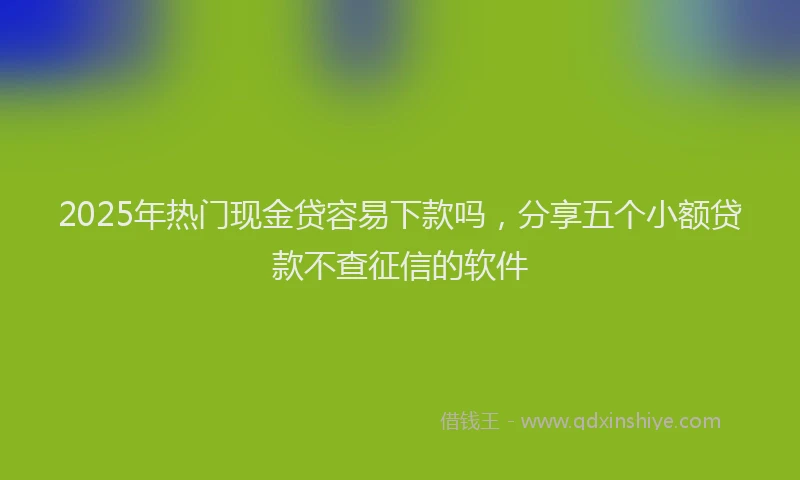 2025年热门现金贷容易下款吗，分享五个小额贷款不查征信的软件