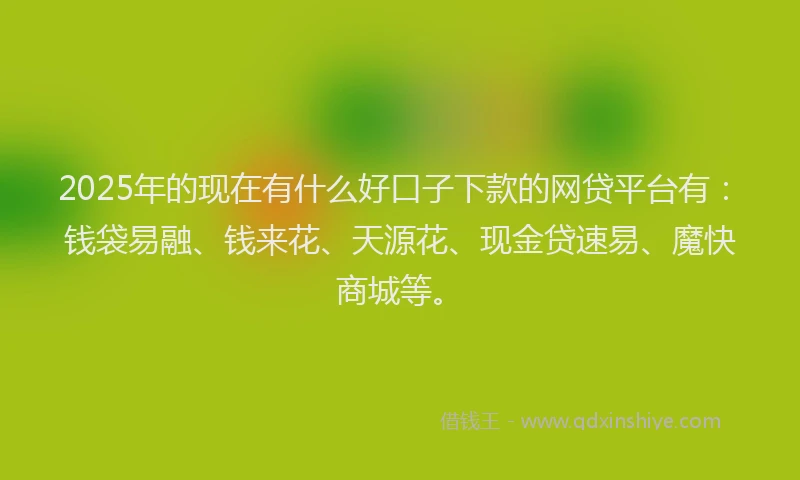 2025年的现在有什么好口子下款的网贷平台有：钱袋易融、钱来花、天源花、现金贷速易、魔快商城等。
