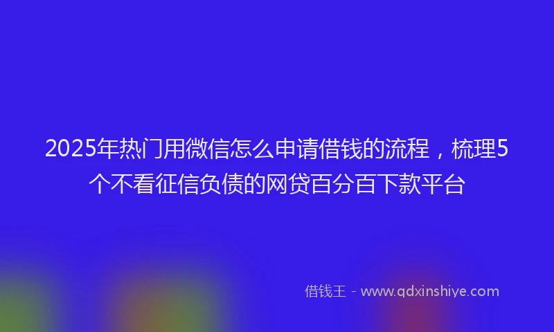 2025年热门用微信怎么申请借钱的流程，梳理5个不看征信负债的网贷百分百下款平台