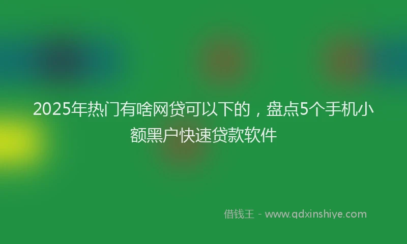 2025年热门有啥网贷可以下的，盘点5个手机小额黑户快速贷款软件