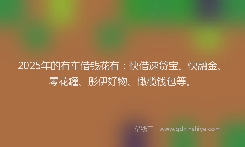 2025年的有车借钱花有：快借速贷宝、快融金、零花罐、彤伊好物、橄榄钱包等。