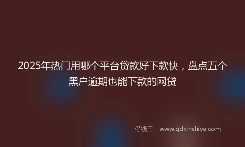 2025年热门用哪个平台贷款好下款快，盘点五个黑户逾期也能下款的网贷