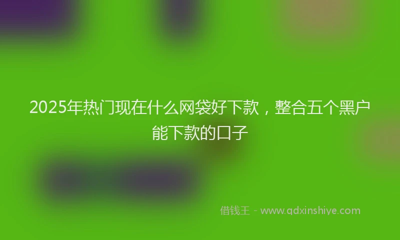 2025年热门现在什么网袋好下款，整合五个黑户能下款的口子
