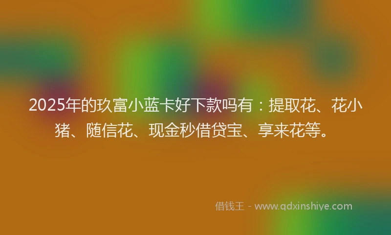 2025年的玖富小蓝卡好下款吗有：提取花、花小猪、随信花、现金秒借贷宝、享来花等。