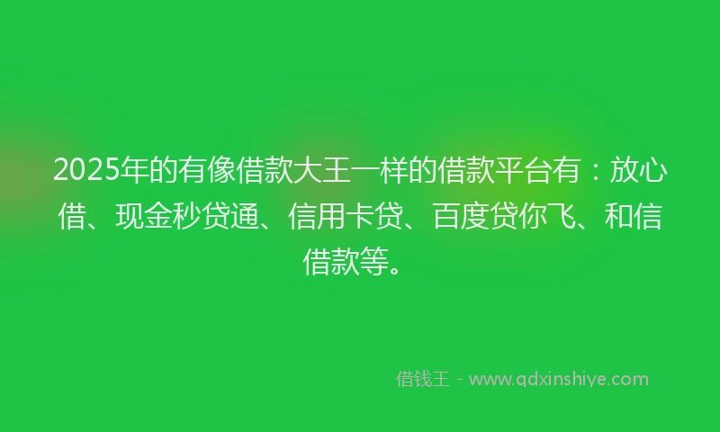 2025年的有像借款大王一样的借款平台有：放心借、现金秒贷通、信用卡贷、百度贷你飞、和信借款等。