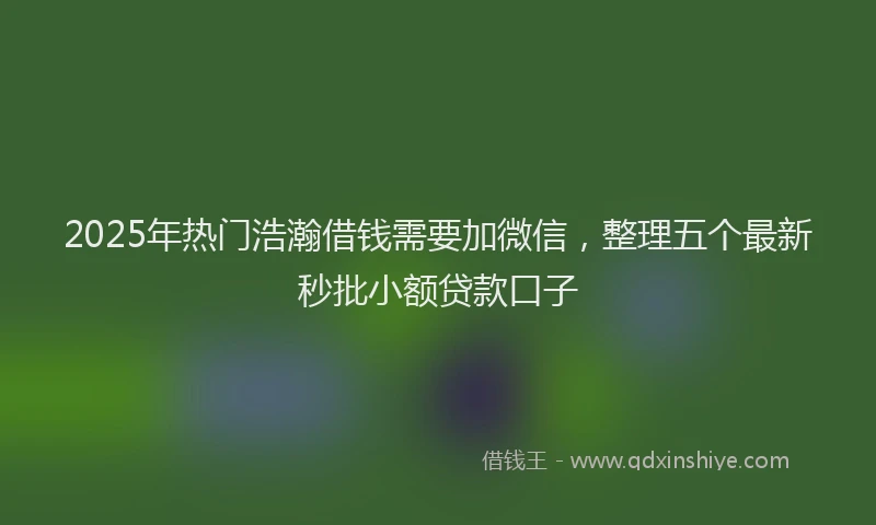 2025年热门浩瀚借钱需要加微信，整理五个最新秒批小额贷款口子