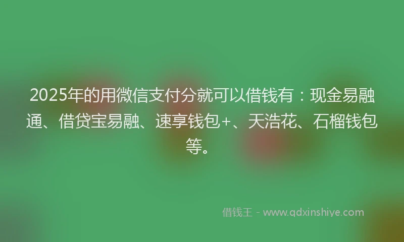 2025年的用微信支付分就可以借钱有：现金易融通、借贷宝易融、速享钱包+、天浩花、石榴钱包等。