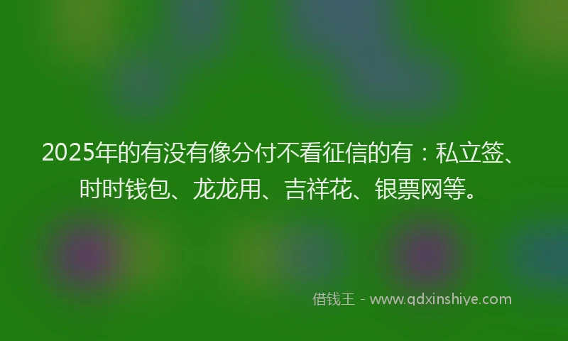 2025年的有没有像分付不看征信的有：私立签、时时钱包、龙龙用、吉祥花、银票网等。
