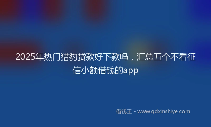 2025年热门猎豹贷款好下款吗，汇总五个不看征信小额借钱的app