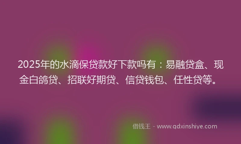 2025年的水滴保贷款好下款吗有：易融贷盒、现金白鸽贷、招联好期贷、信贷钱包、任性贷等。