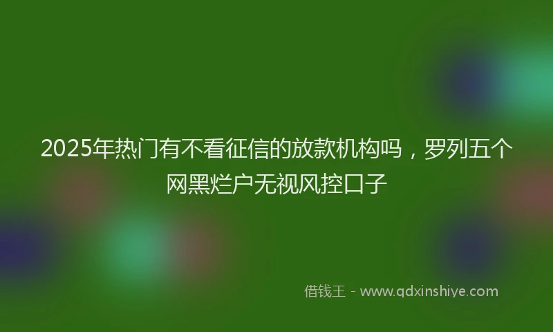 2025年热门有不看征信的放款机构吗，罗列五个网黑烂户无视风控口子