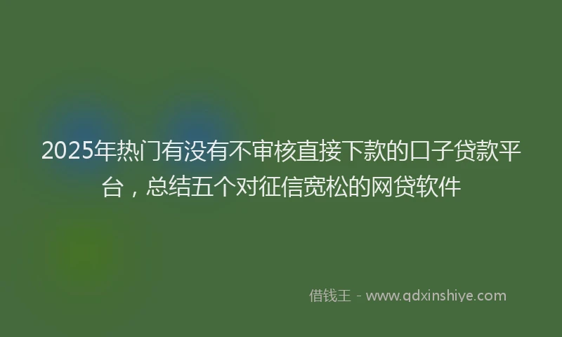 2025年热门有没有不审核直接下款的口子贷款平台，总结五个对征信宽松的网贷软件
