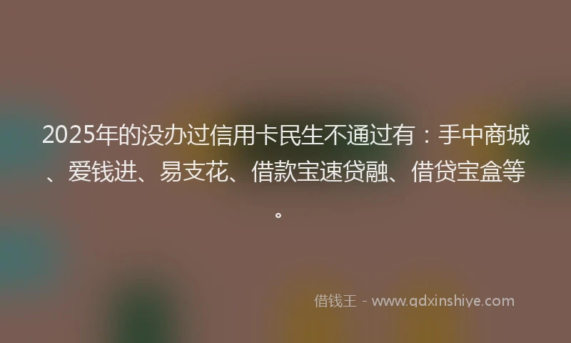 2025年的没办过信用卡民生不通过有：手中商城、爱钱进、易支花、借款宝速贷融、借贷宝盒等。