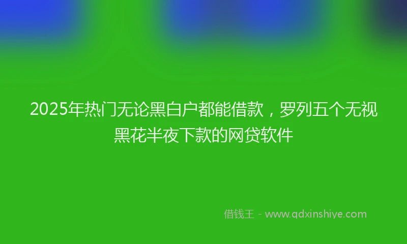 2025年热门无论黑白户都能借款，罗列五个无视黑花半夜下款的网贷软件