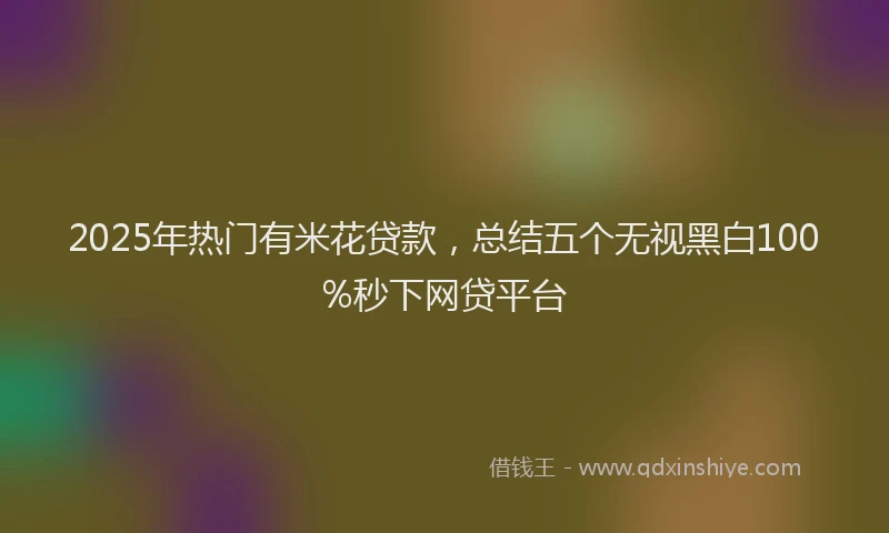 2025年热门有米花贷款，总结五个无视黑白100%秒下网贷平台
