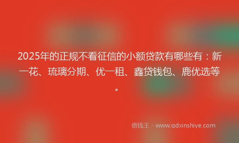 2025年的正规不看征信的小额贷款有哪些有：新一花、琉璃分期、优一租、鑫贷钱包、鹿优选等。
