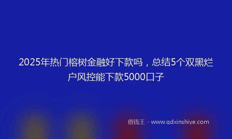 2025年热门榕树金融好下款吗，总结5个双黑烂户风控能下款5000口子
