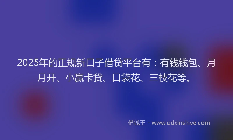 2025年的正规新口子借贷平台有：有钱钱包、月月开、小赢卡贷、口袋花、三枝花等。
