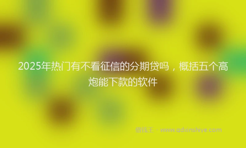 2025年热门有不看征信的分期贷吗，概括五个高炮能下款的软件