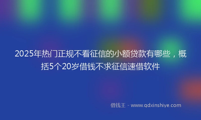 2025年热门正规不看征信的小额贷款有哪些，概括5个20岁借钱不求征信速借软件