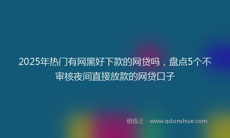 2025年热门有网黑好下款的网贷吗，盘点5个不审核夜间直接放款的网贷口子