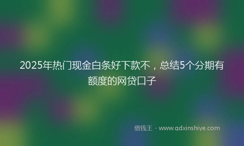 2025年热门现金白条好下款不，总结5个分期有额度的网贷口子