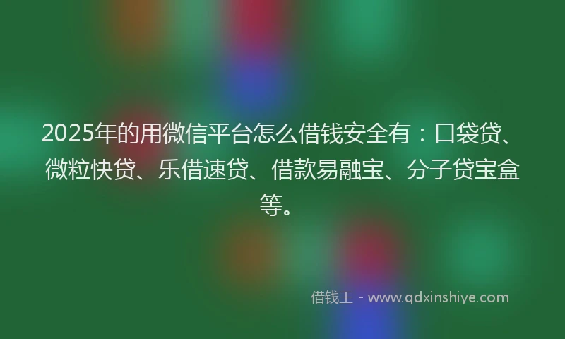 2025年的用微信平台怎么借钱安全有：口袋贷、微粒快贷、乐借速贷、借款易融宝、分子贷宝盒等。