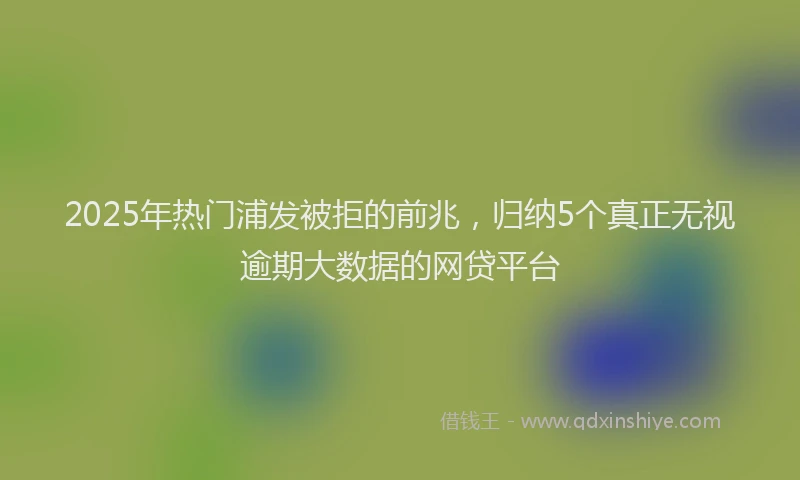 2025年热门浦发被拒的前兆，归纳5个真正无视逾期大数据的网贷平台