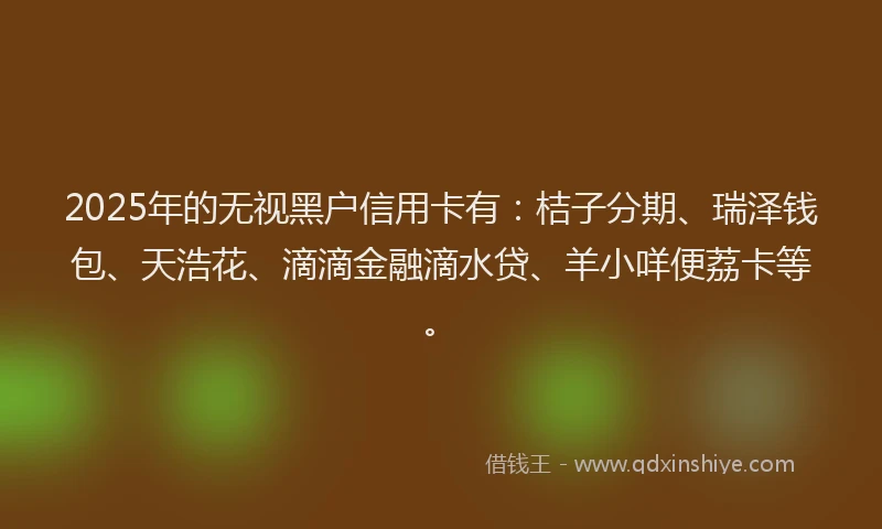 2025年的无视黑户信用卡有：桔子分期、瑞泽钱包、天浩花、滴滴金融滴水贷、羊小咩便荔卡等。
