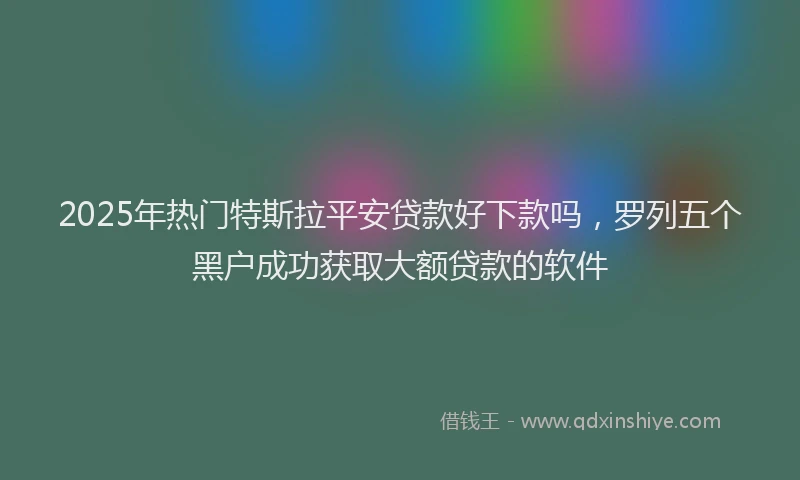 2025年热门特斯拉平安贷款好下款吗，罗列五个黑户成功获取大额贷款的软件