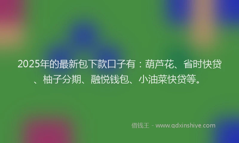 2025年的最新包下款口子有：葫芦花、省时快贷、柚子分期、融悦钱包、小油菜快贷等。