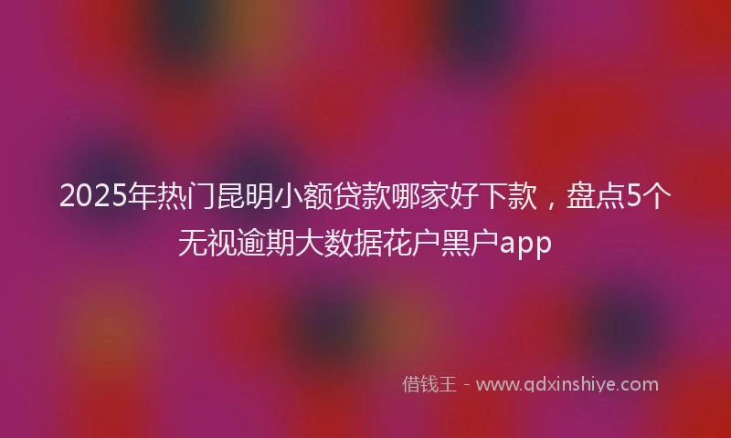 2025年热门昆明小额贷款哪家好下款，盘点5个无视逾期大数据花户黑户app