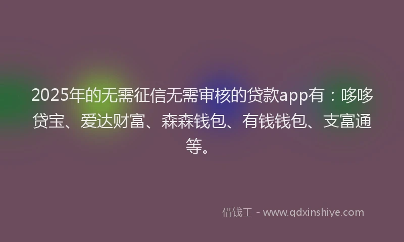 2025年的无需征信无需审核的贷款app有：哆哆贷宝、爱达财富、森森钱包、有钱钱包、支富通等。