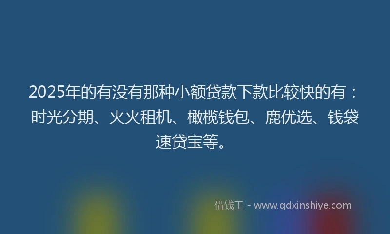 2025年的有没有那种小额贷款下款比较快的有：时光分期、火火租机、橄榄钱包、鹿优选、钱袋速贷宝等。