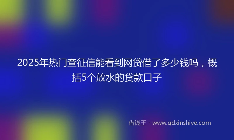 2025年热门查征信能看到网贷借了多少钱吗，概括5个放水的贷款口子