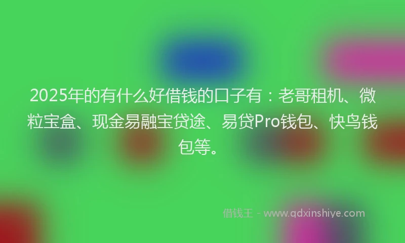 2025年的有什么好借钱的口子有：老哥租机、微粒宝盒、现金易融宝贷途、易贷Pro钱包、快鸟钱包等。