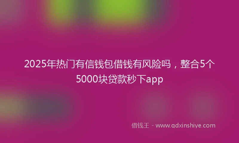 2025年热门有信钱包借钱有风险吗，整合5个5000块贷款秒下app