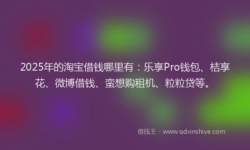 2025年的淘宝借钱哪里有：乐享Pro钱包、桔享花、微博借钱、蛮想购租机、粒粒贷等。