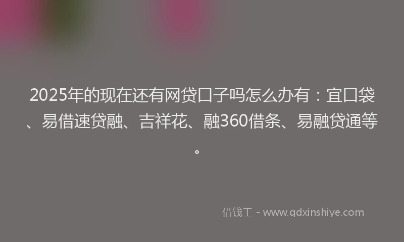 2025年的现在还有网贷口子吗怎么办有：宜口袋、易借速贷融、吉祥花、融360借条、易融贷通等。