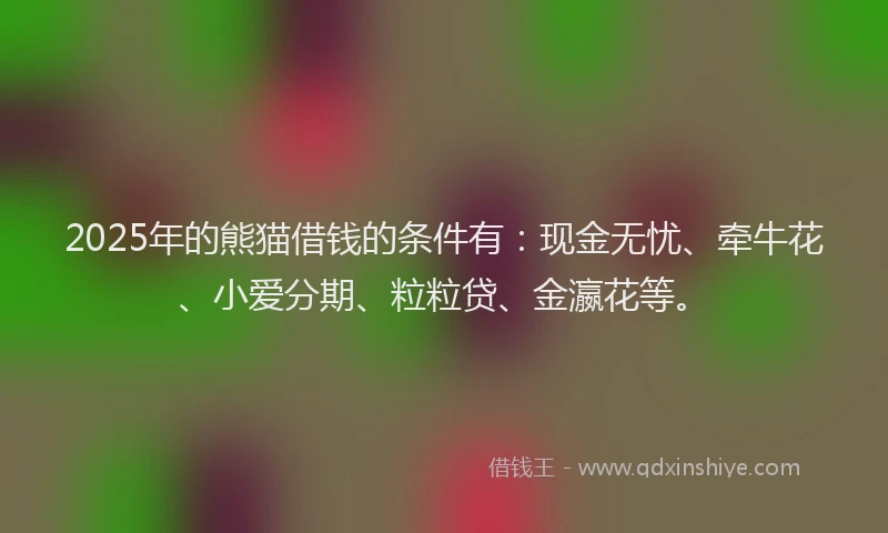 2025年的熊猫借钱的条件有：现金无忧、牵牛花、小爱分期、粒粒贷、金瀛花等。
