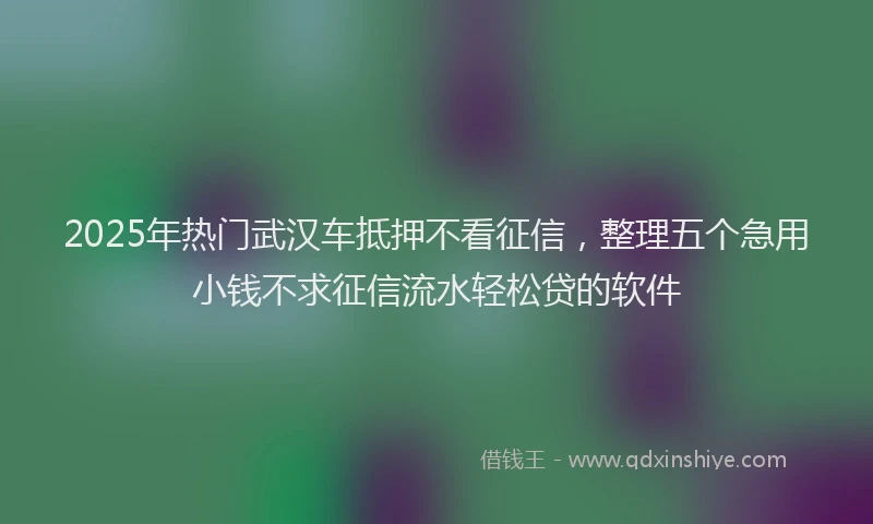 2025年热门武汉车抵押不看征信，整理五个急用小钱不求征信流水轻松贷的软件