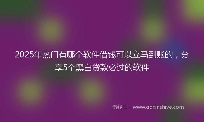 2025年热门有哪个软件借钱可以立马到账的，分享5个黑白贷款必过的软件