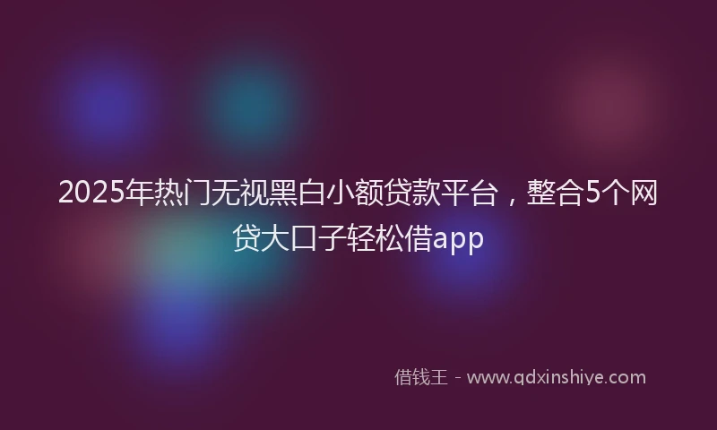 2025年热门无视黑白小额贷款平台，整合5个网贷大口子轻松借app