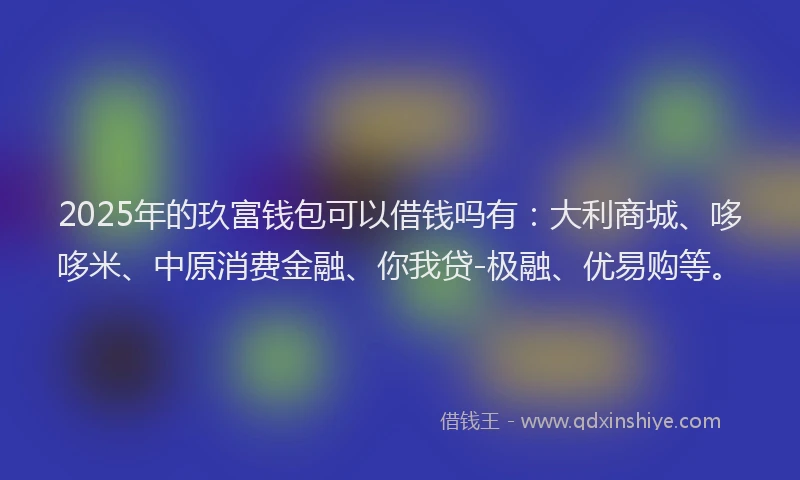 2025年的玖富钱包可以借钱吗有：大利商城、哆哆米、中原消费金融、你我贷-极融、优易购等。